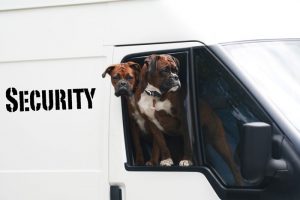 security dog first aid