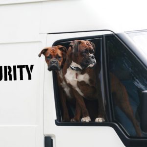 security dog first aid