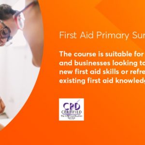 first aid primary survey