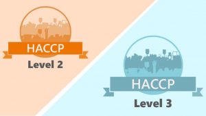 haccp level 2 3