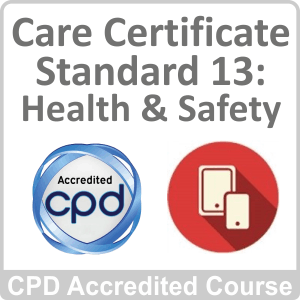 care certificate standard 13