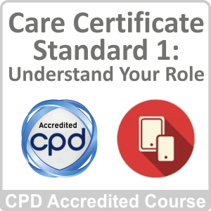 care certificate standard 1