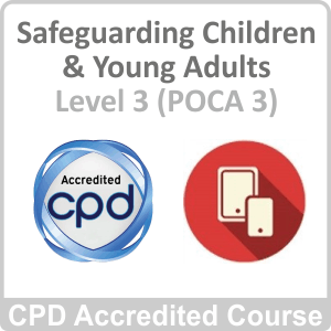 safeguarding children and adults