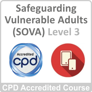 safeguarding adults level 3