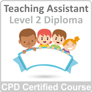 teaching assistant level 2