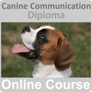 canine communication
