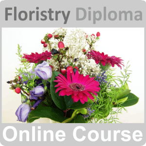 floristry diploma